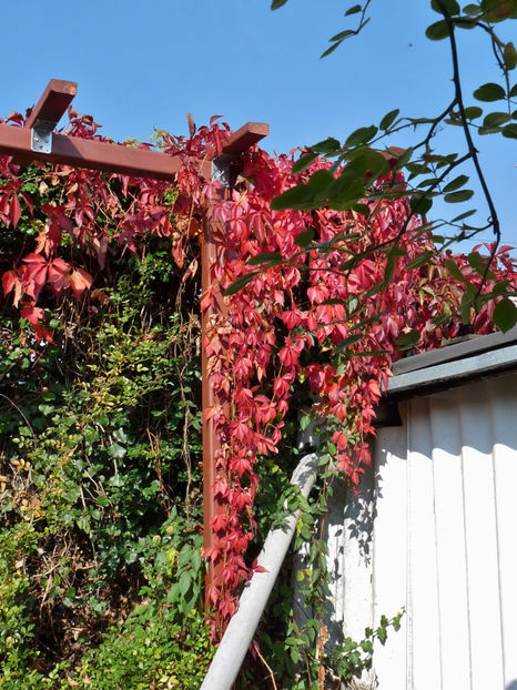  - 2018 - 03 - Toamna