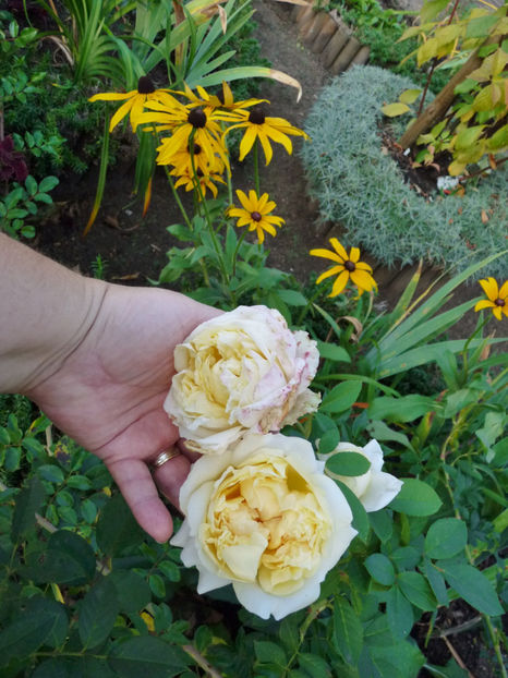  - 2018 - 03 - Toamna