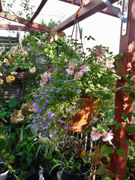  - 2018 - 03 - Toamna