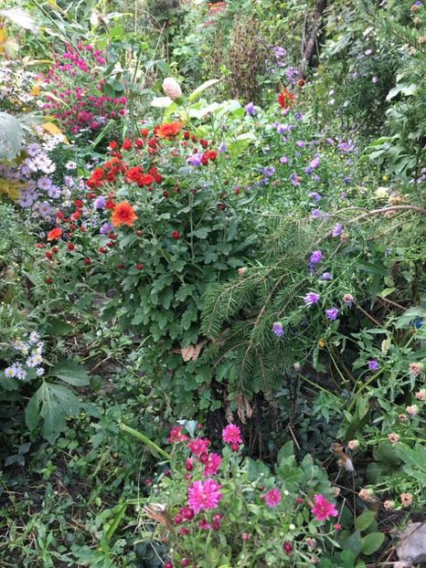 3DC3E967-4EB8-4D3E-A2D3-62F6E193BFC8 - Octombrie