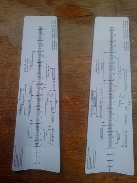 1 - 3-Rigla masurat urechi