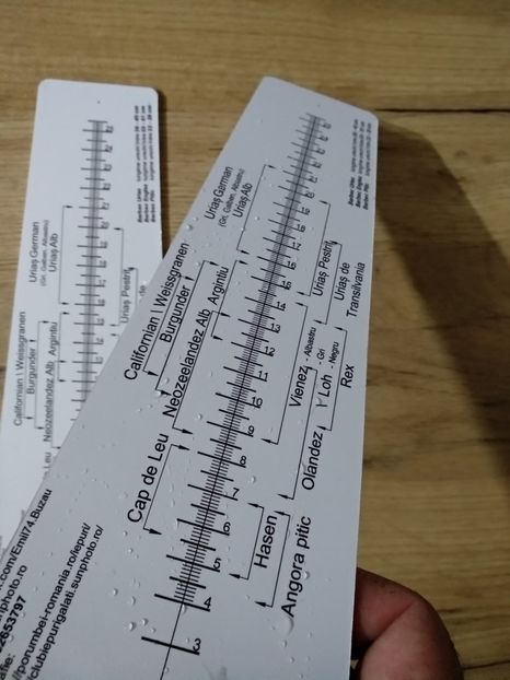 2 - 3-Rigla masurat urechi