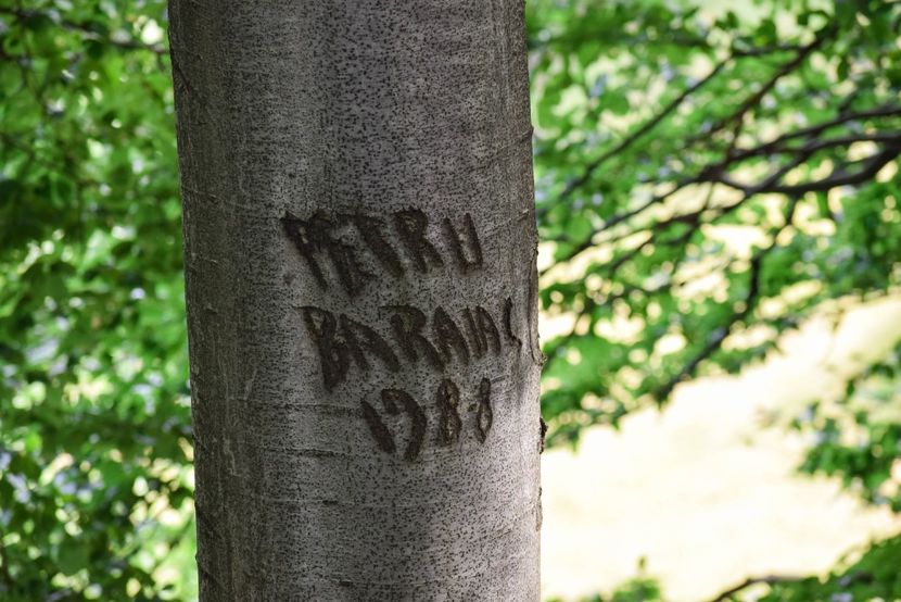  - Miezul verii