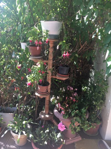 676FC37B-83E9-4086-90FB-0E66EDAFA58E - Octombrie