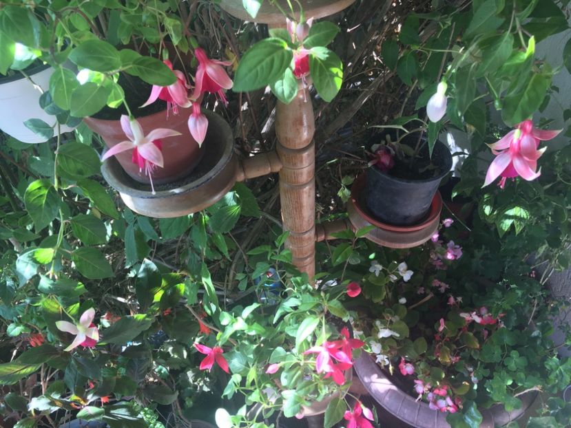 245493FF-5442-4E5C-9DC0-7073B4CCA302 - Octombrie