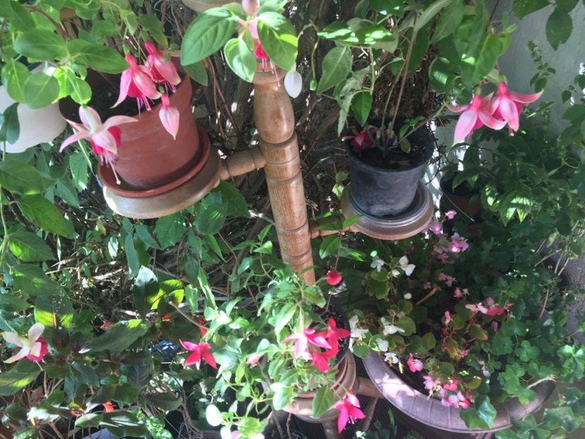 725A03A1-B611-45CF-87F9-05F028561872 - Octombrie