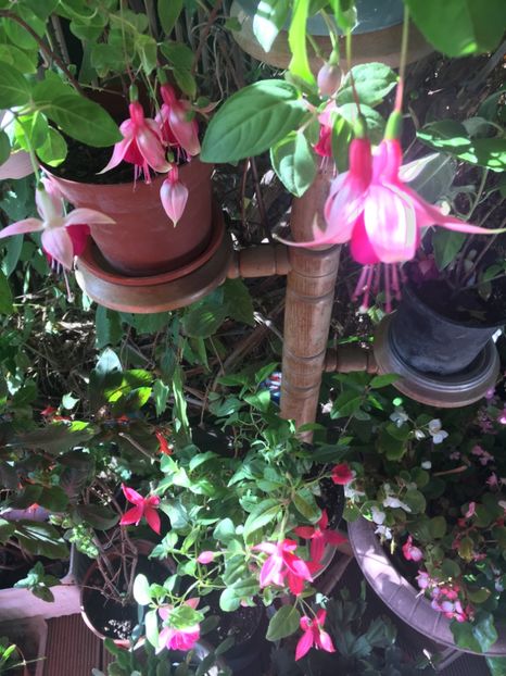 EF5ED724-8562-404C-883D-3EB839AE0E30 - Octombrie