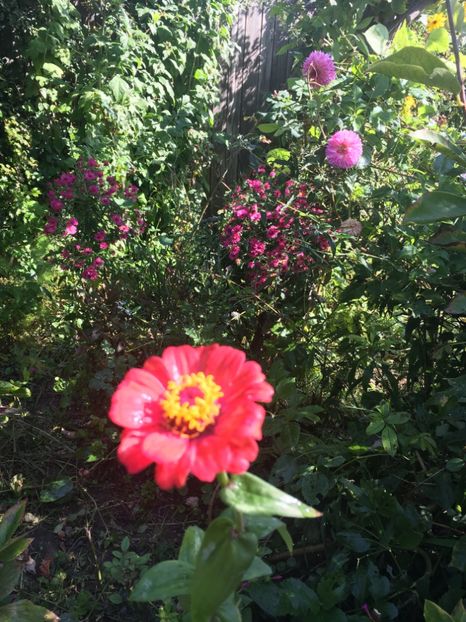 73824FAC-7D1D-4C9E-8A32-6DDD69EE5D66 - Octombrie