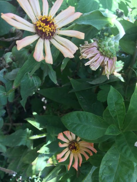 3709FFD1-6116-49CD-84F4-82F304854422 - Octombrie