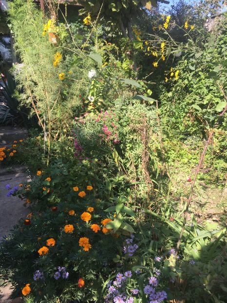 149A326F-35AD-4E3A-BDEA-1B05F06874B6 - Octombrie