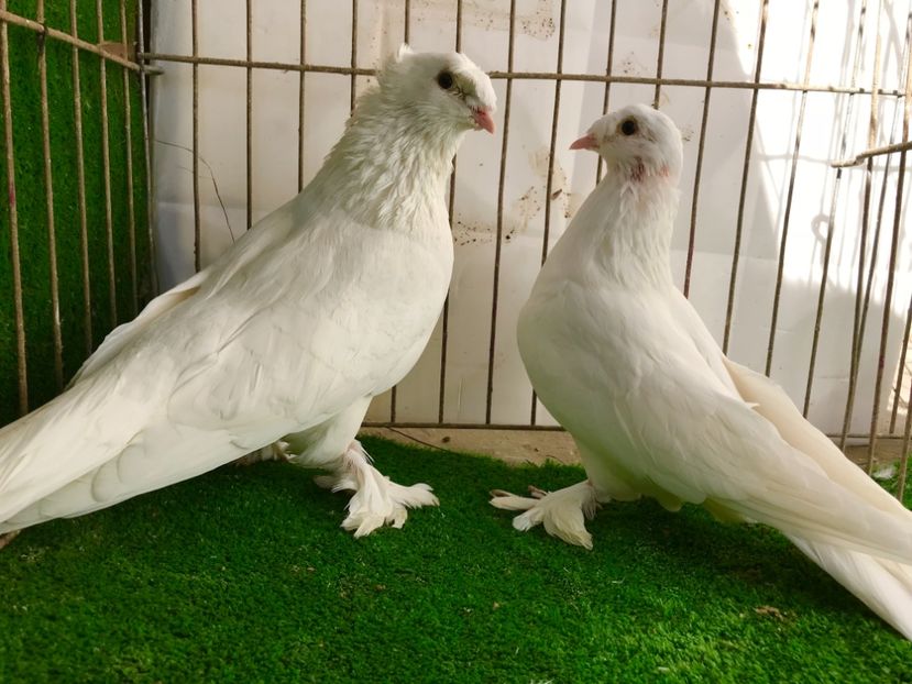 DD345B91-42B9-4A43-BA70-B3381F91268F - Takla