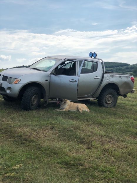 C844563E-DFAF-4D2C-89E6-45901C3E87C4 - 1 Căței Asia Centrală 2017-2018