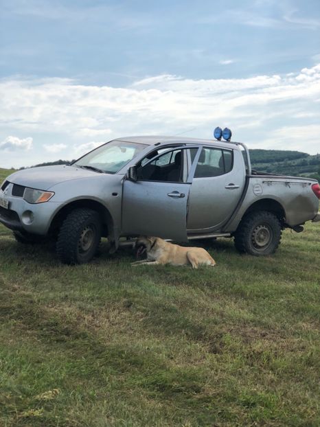B700819F-7635-4EE4-B921-D73B3E844CB6 - 1 Căței Asia Centrală 2017-2018