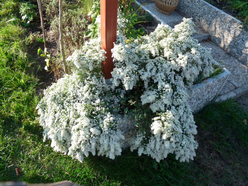  - 2018 - 03 - Toamna