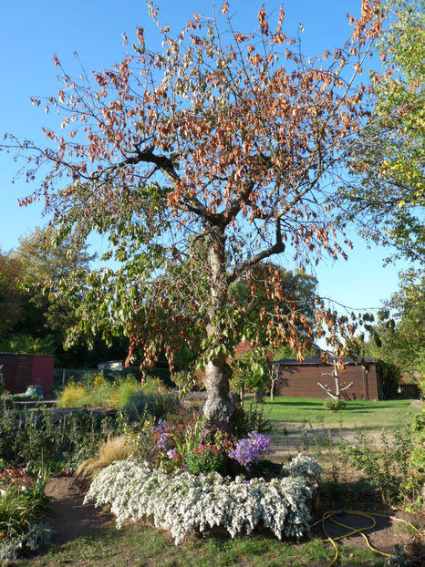  - 2018 - 03 - Toamna