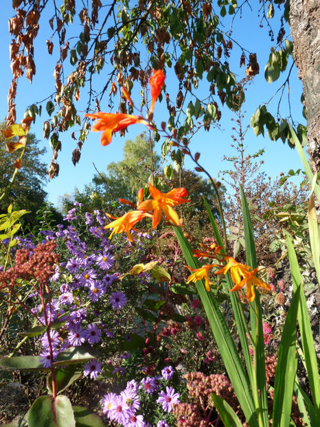  - 2018 - 03 - Toamna