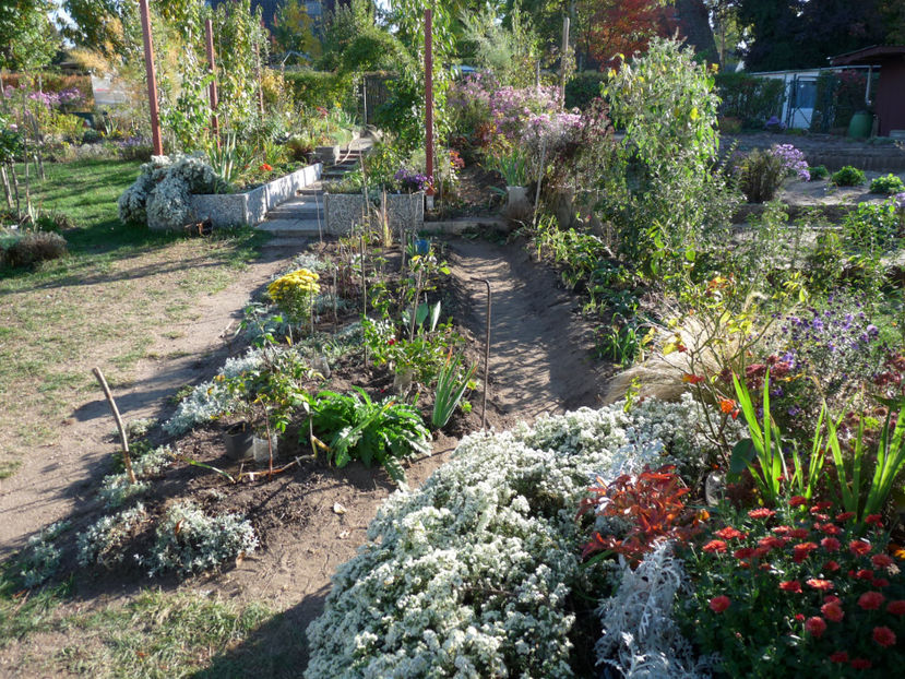  - 2018 - 03 - Toamna