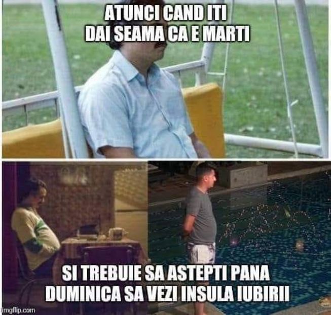  - Sezonul 4 insula iubirii - memes 2