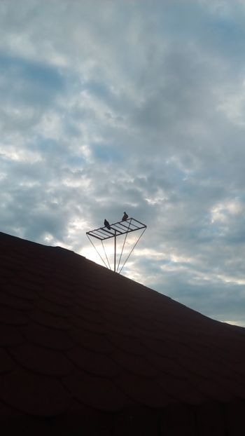  - In libertate 15Aprilie-15 Noiembrie