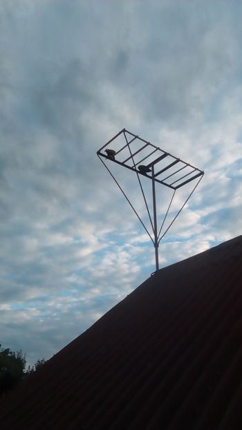  - In libertate 15Aprilie-15 Noiembrie