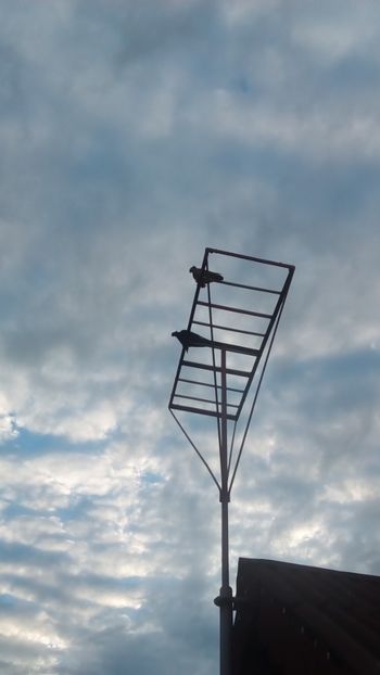  - In libertate 15Aprilie-15 Noiembrie