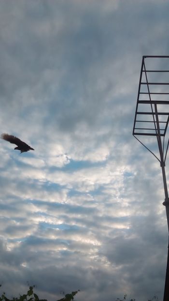  - In libertate 15Aprilie-15 Noiembrie