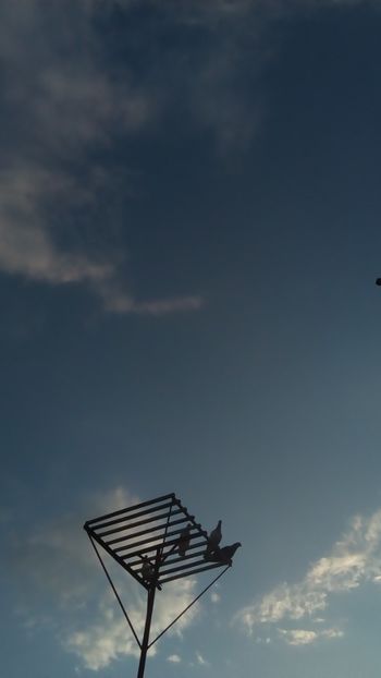  - In libertate 15Aprilie-15 Noiembrie