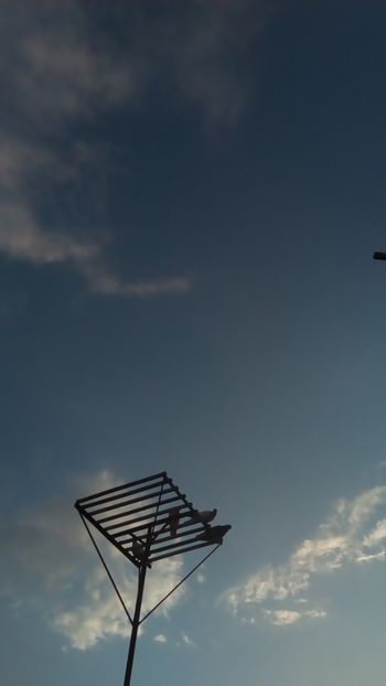  - In libertate 15Aprilie-15 Noiembrie