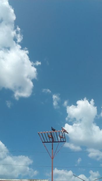  - In libertate 15Aprilie-15 Noiembrie