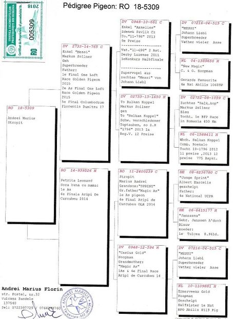 46-FINALA - RO 2018 5309