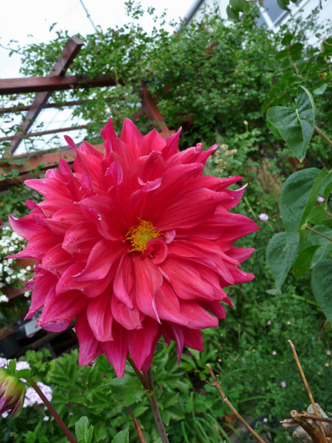  - 2018 - 03 - Toamna