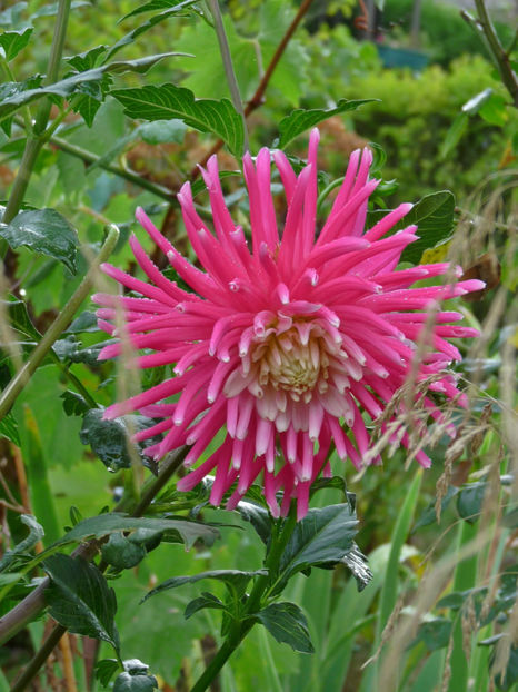  - 2018 - 03 - Toamna