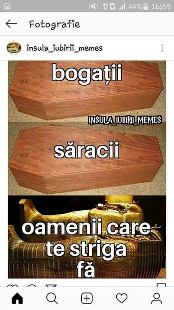  - Sezonul 4 insula iubirii - memes 2