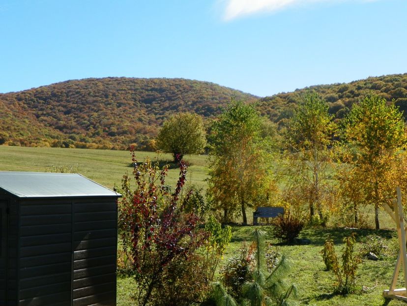 15 oct (105) - Dobarland 2018 4