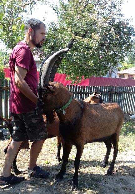 20180824_143944-1 - Căprițele