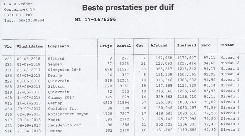 rezultate "Hansy" - Hansy