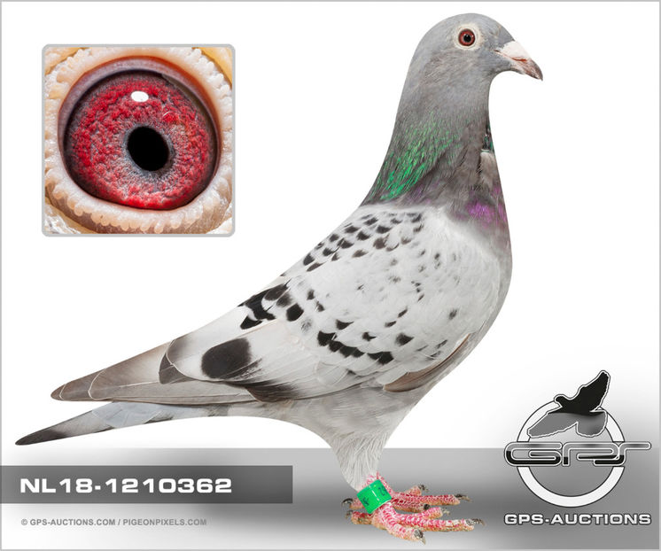 "Cory" - C. Leijtens - Cory