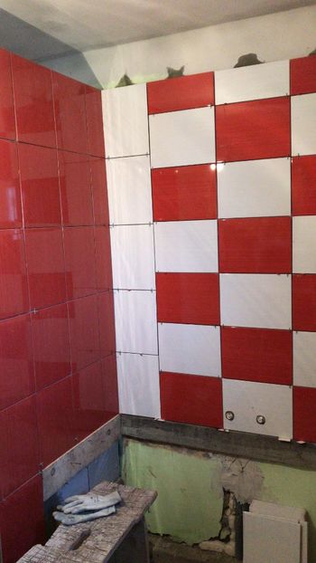 Sany voivodeni - LUCRARILE  MELE