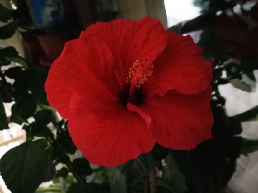  - October 2018