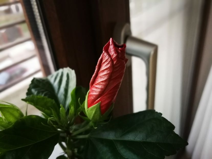  - October 2018