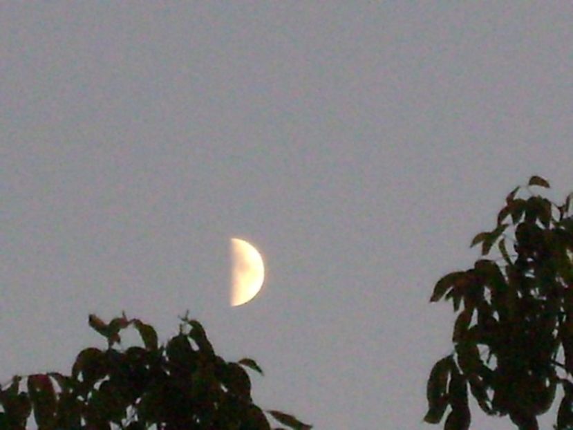 Primul patrar al Lunii in Capricorn - Luna - Soarele si norii - 1