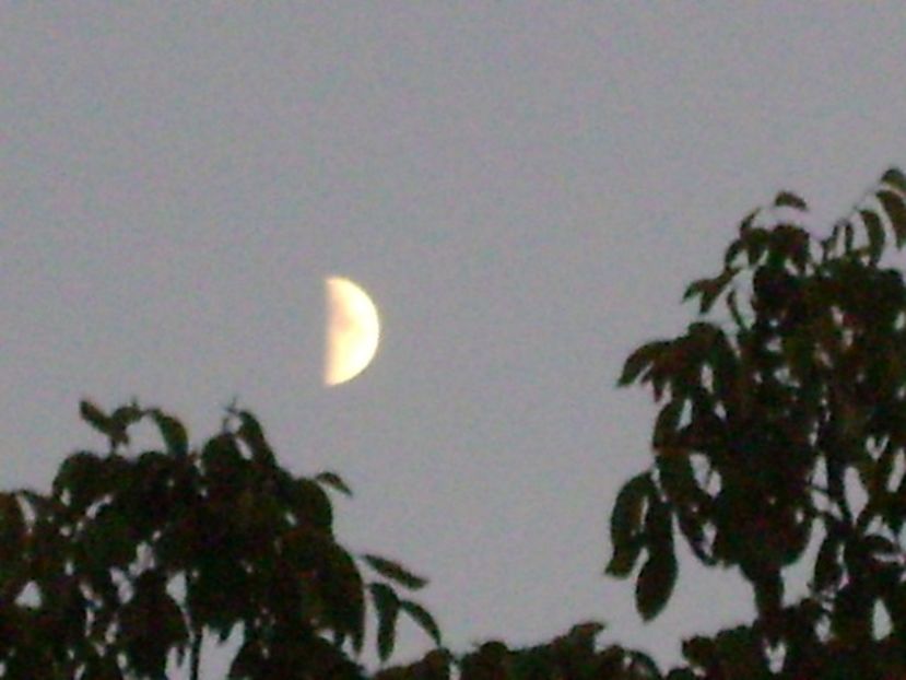 Primul patrar al Lunii in Capricorn - Luna - Soarele si norii - 1