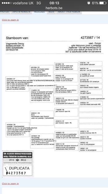 Ped argintiu - Achizitii porumbei 2018