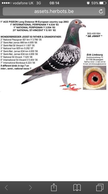 bunic argintiu - Achizitii porumbei 2018