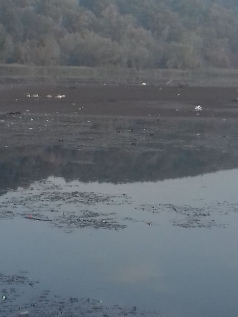  - Hațeg