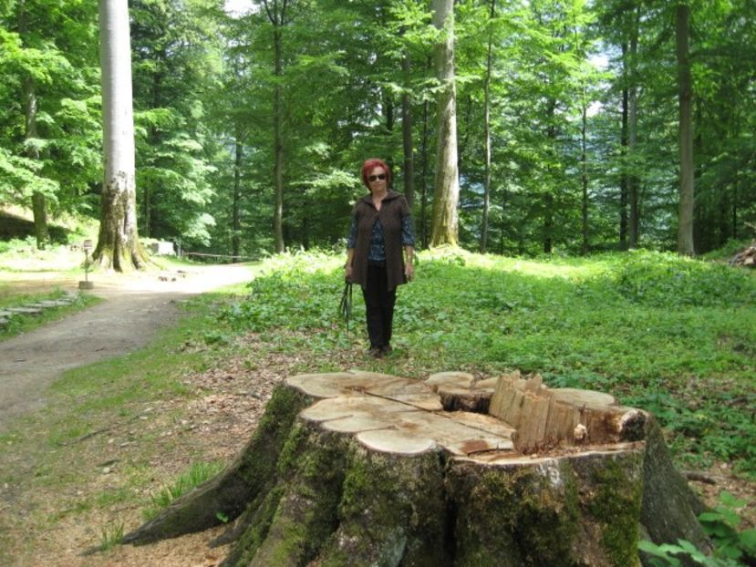 - Sarmisegetusa Regia
