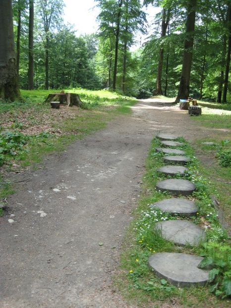  - Sarmisegetusa Regia