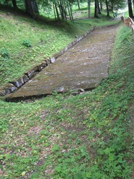  - Sarmisegetusa Regia