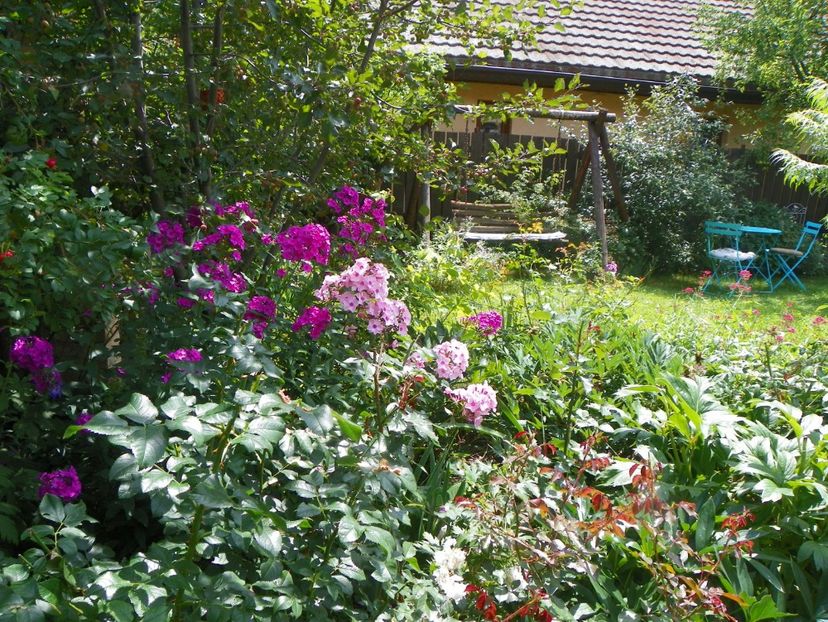 27 iul (20) - Gradina 2018