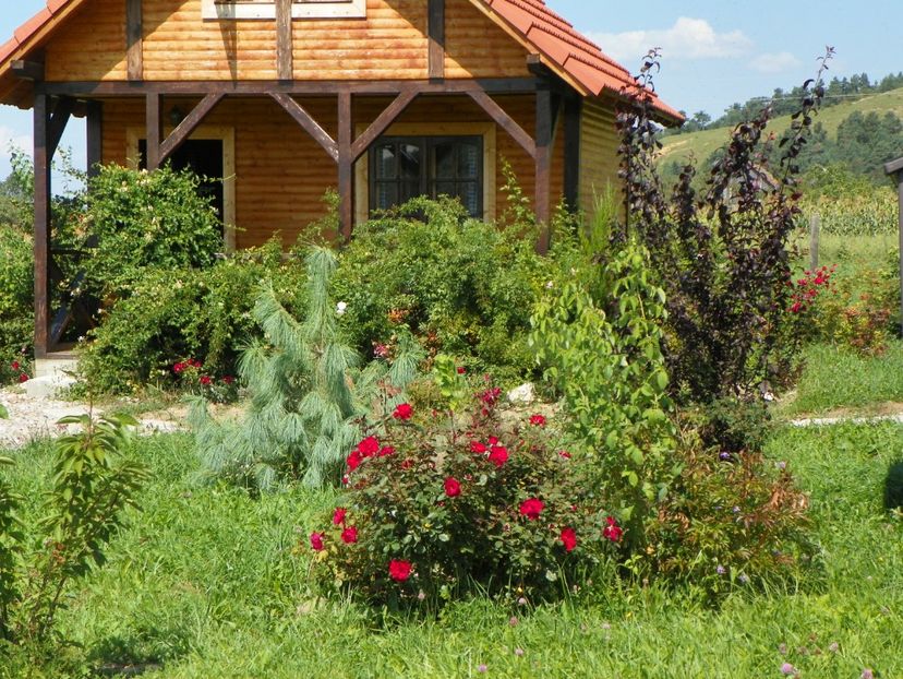 Zeelandia - Dobarland 25 august